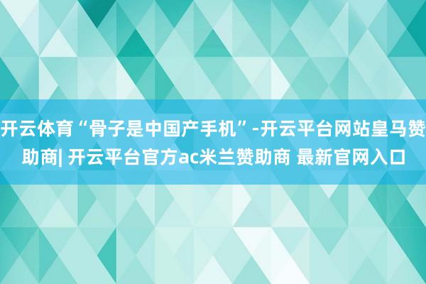 开云体育“骨子是中国产手机”-开云平台网站皇马赞助商| 开云平台官方ac米兰赞助商 最新官网入口